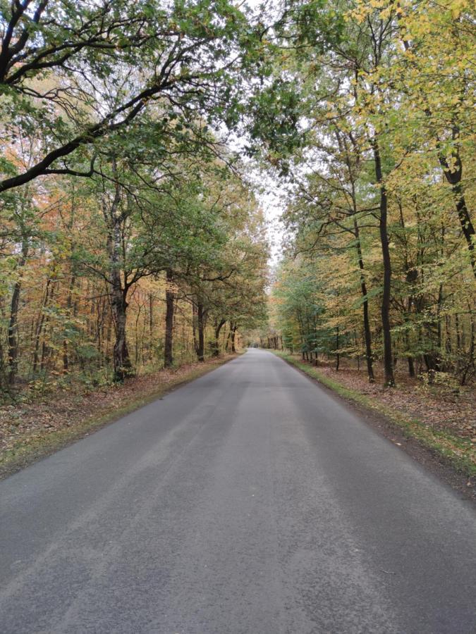 Landbrise Villa Petersfeld Dış mekan fotoğraf