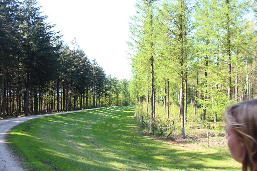 Landbrise Villa Petersfeld Dış mekan fotoğraf